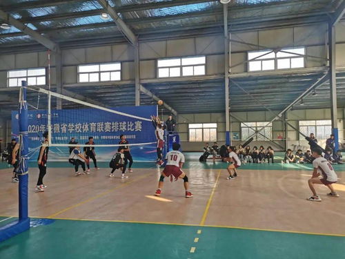 2020年安徽省学校体育联赛大学生排球比赛
